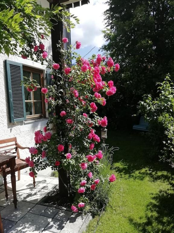 'sissi' Ein Zaubehaftes Im Modernen Landhausstil Apartment Oberammergau