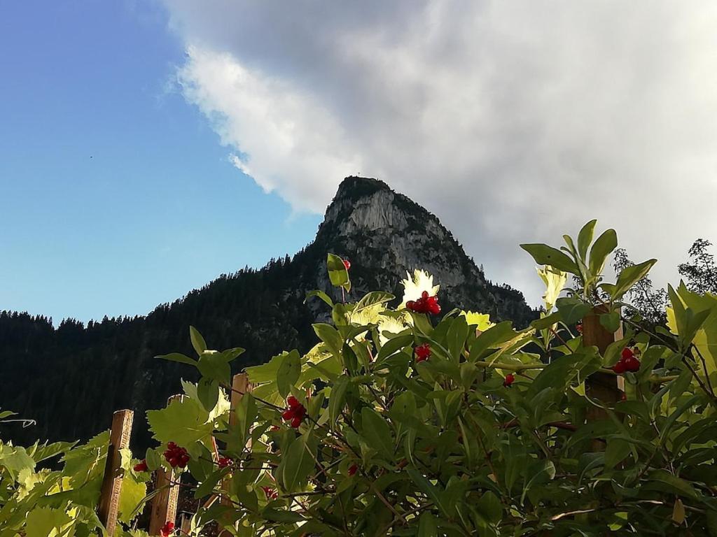 'sissi' Ein Zaubehaftes Im Modernen Landhausstil * Oberammergau